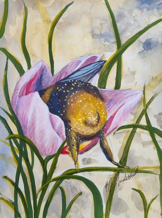 "Where the Bees Sleep"