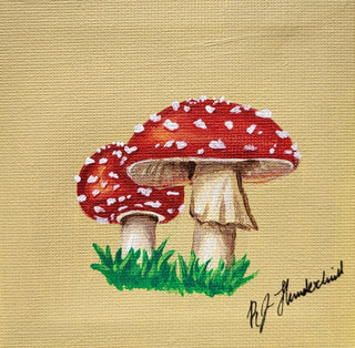 "Don't Eat the Mushrooms"
