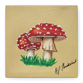 "Don't Eat the Mushrooms" Canvas Art Print